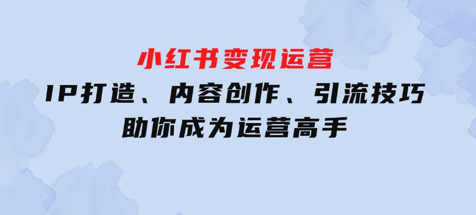 IP打造、内容创作、引流技巧助你成为运营高手-财仔梦想资源网