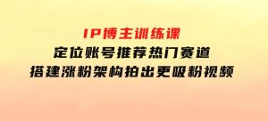 IP博主训练课，定位账号，推荐热门赛道，搭建涨粉架构，拍出更吸粉视频-财仔梦想资源网