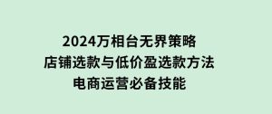 2024万相台无界策略，店铺选款与低价盈选款方法，电商运营必备技能-财仔梦想资源网