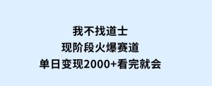 我不找道士，现阶段火爆赛道，单日变现2000+看完就会-财仔梦想资源网
