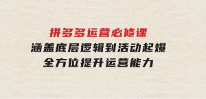 拼多多运营必修课：涵盖底层逻辑到活动起爆，全方位提升运营能力-财仔梦想资源网