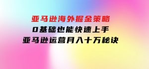 亚马逊海外掘金策略，0基础也能快速上手，亚马逊运营月入十万秘诀-财仔梦想资源网