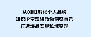 从0到1孵化个人品牌，知识IP变现课教你洞察自己，打造爆品，实现私域变现-财仔梦想资源网