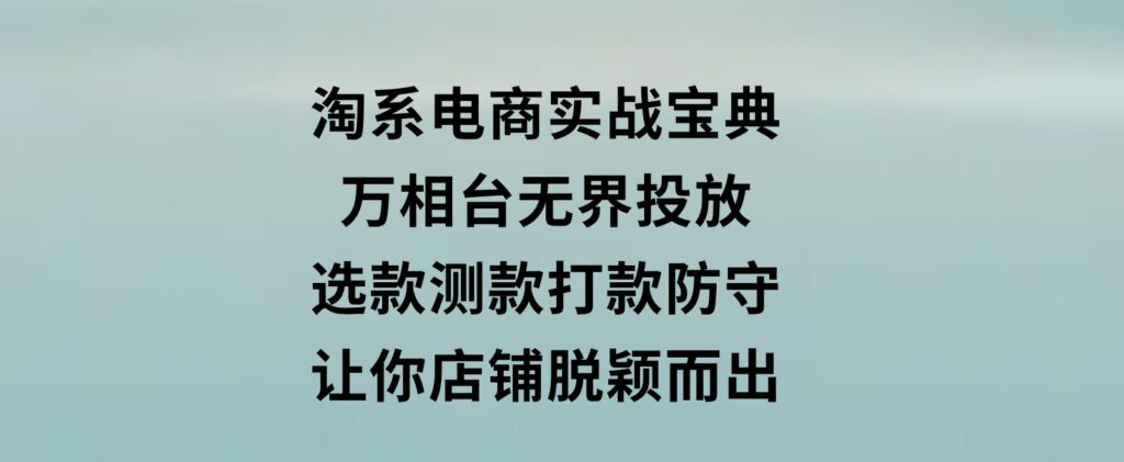 淘系电商实战宝典：万相台无界投放，选款测款打款防守，让你店铺脱颖而出-财仔梦想资源网