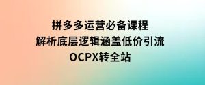 拼多多运营必备课程，解析底层逻辑，涵盖低价引流、OCPX转全站-财仔梦想资源网
