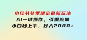 小红书冬季限定最新玩法，AI一键操作，引爆流量，小白秒上手，日入2000+-财仔梦想资源网