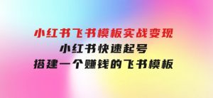 小红书飞书模板实战变现：小红书快速起号，搭建一个赚钱的飞书模板-财仔梦想资源网