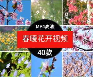 高清桃花梅花樱花朵自然植物春暖花开摄影特写抒情短视频剪辑素材-财仔梦想资源网