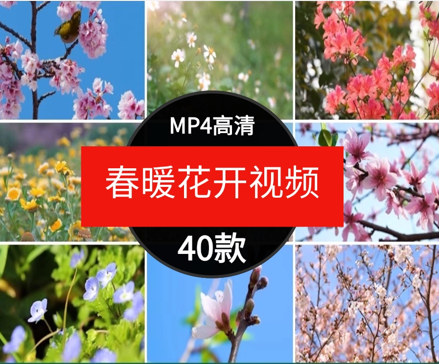 高清桃花梅花樱花朵自然植物春暖花开摄影特写抒情短视频剪辑素材-财仔梦想资源网