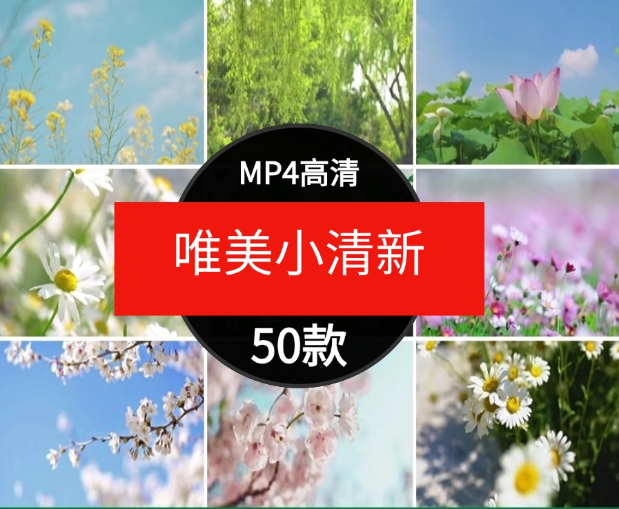 唯美绿色小清新花朵树叶自然阳光伤感治愈情感短片背景视频素材-财仔梦想资源网