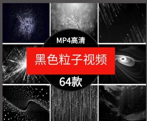 炫酷黑色粒子科技线条黑白曲线粒子抽象流动特效LED背景视频素材-财仔梦想资源网