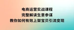 电商运营实战课程：完整解读生意参谋，教你如何有效上架宝贝，引流变现-财仔梦想资源网