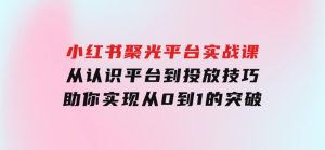 小红书聚光平台实战课，从认识平台到投放技巧，助你实现从0到1的突破-财仔梦想资源网