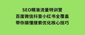 SEO精准流量特训营，百度微信抖音小红书全覆盖，带你搞懂搜索优化核心技巧-财仔梦想资源网