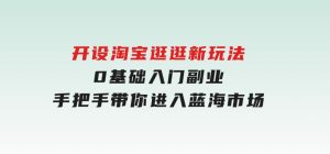 开设淘宝逛逛新玩法，0基础入门副业，手把手带你进入蓝海市场，赚钱无忧-财仔梦想资源网