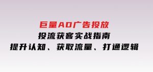 巨量AD广告投放投流获客实战指南，提升认知、获取流量、打通逻辑-财仔梦想资源网
