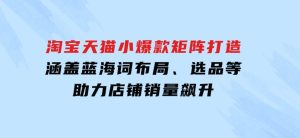 淘宝天猫小爆款矩阵打造：涵盖蓝海词布局、选品等，助力店铺销量飙升-财仔梦想资源网