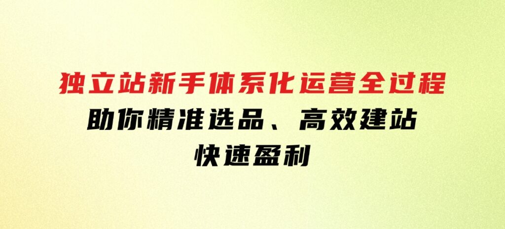 独立站新手体系化运营全过程，助你精准选品、高效建站、快速盈利-财仔梦想资源网