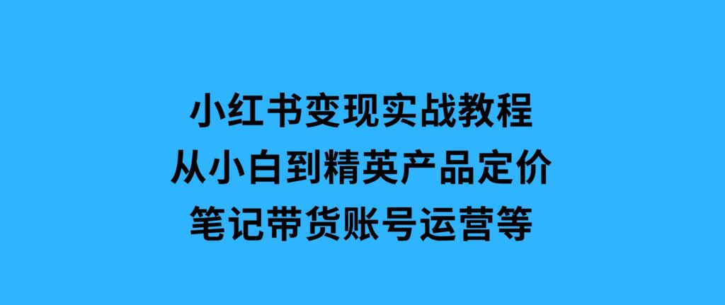 小红书变现实战教程：从小白到精英，产品定价，笔记带货，账号运营等-财仔梦想资源网