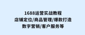 1688运营实战教程：店铺定位/商品管理/爆款打造/数字营销/客户服务等-财仔梦想资源网