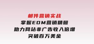 邮件营销实战，掌握EDM营销精髓，助力网站非广告收入倍增，突破百万美金-财仔梦想资源网