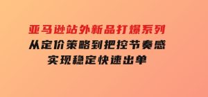 亚马逊站外新品打爆系列，从定价策略到把控节奏感，实现稳定快速出单-财仔梦想资源网