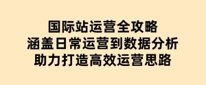 国际站运营全攻略：涵盖日常运营到数据分析，助力打造高效运营思路-财仔梦想资源网