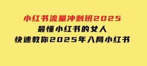 小红书流量冲刺班2025，最懂小红书的女人，快速教你2025年入局小红书-财仔梦想资源网