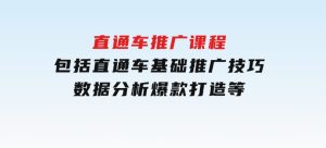 直通车推广课程：包括直通车基础、推广技巧、数据分析、爆款打造等-财仔梦想资源网