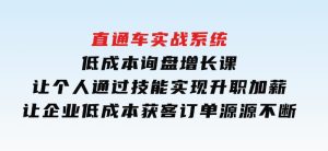 直通车实战系统：低成本询盘增长课，让个人通过技能实现升职加薪，让企业低成本获客，订单源源不断-财仔梦想资源网