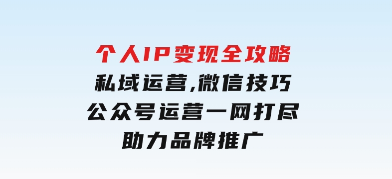 个人IP变现全攻略：私域运营,微信技巧,公众号运营一网打尽,助力品牌推广-财仔梦想资源网
