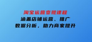 淘宝运营变现课程，涵盖店铺运营、推广、数据分析，助力商家提升-财仔梦想资源网