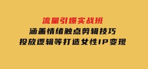 流量引爆实战班，涵盖情绪触点，剪辑技巧，投放逻辑等，打造女性IP变现-财仔梦想资源网