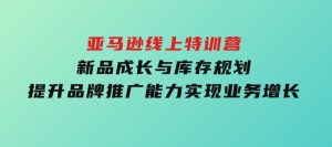 亚马逊线上特训营，新品成长与库存规划，提升品牌推广能力，实现业务增长-财仔梦想资源网