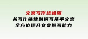 文案写作终极版，从写作铁律到撰写杀手文案，全方位提升文案撰写能力-财仔梦想资源网