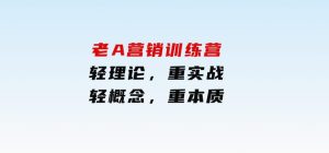 老A营销训练营(更25年1月)，轻理论，重实战，轻概念，重本质-财仔梦想资源网
