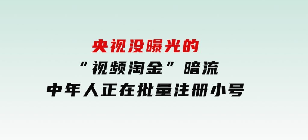 央视没曝光的“视频淘金”暗流：中年人正在批量注册小号-财仔梦想资源网
