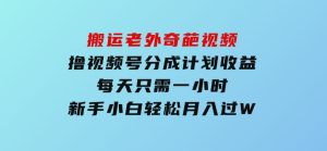搬运老外奇葩视频，撸视频号分成计划收益，每天只需一小时，新手小白轻松月入过W-财仔梦想资源网