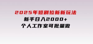 2025年短剧拉新新玩法，新手日入2000+，个人工作室可批量做【详细教程】-财仔梦想资源网