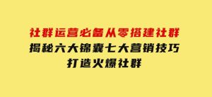 社群运营必备！从零搭建社群，揭秘六大锦囊、七大营销技巧，打造火爆社群-财仔梦想资源网