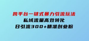 跨平台一键式暴力引流玩法，私域流量高效转化日引流300+精准创业粉-财仔梦想资源网