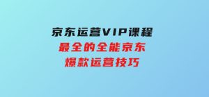 京东运营VIP课程，最全的全能京东爆款运营技巧-财仔梦想资源网