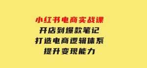 小红书电商实战课：开店到爆款笔记，打造电商逻辑体系，提升变现能力-财仔梦想资源网
