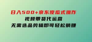 日入500+京东傻瓜式操作,视频带货代运营,无需选品剪辑即可轻松躺赚-财仔梦想资源网