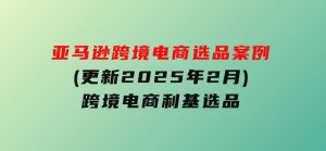 亚马逊跨境电商选品案例(更新2025年2月)，跨境电商利基选品-财仔梦想资源网