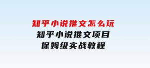 知乎小说推文怎么玩，知乎小说推文项目保姆级实战教程-财仔梦想资源网