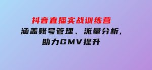 抖音直播实战训练营：涵盖账号管理、流量分析,助力GMV提升-财仔梦想资源网