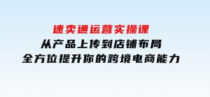 速卖通运营实操课，从产品上传到店铺布局，全方位提升你的跨境电商能力-财仔梦想资源网