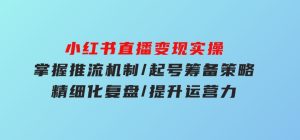 小红书直播变现实操：掌握推流机制/起号筹备策略/精细化复盘/提升运营力-财仔梦想资源网