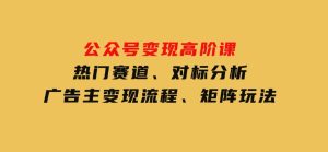公众号变现高阶课：热门赛道、对标分析、广告主变现流程、矩阵玩法-财仔梦想资源网